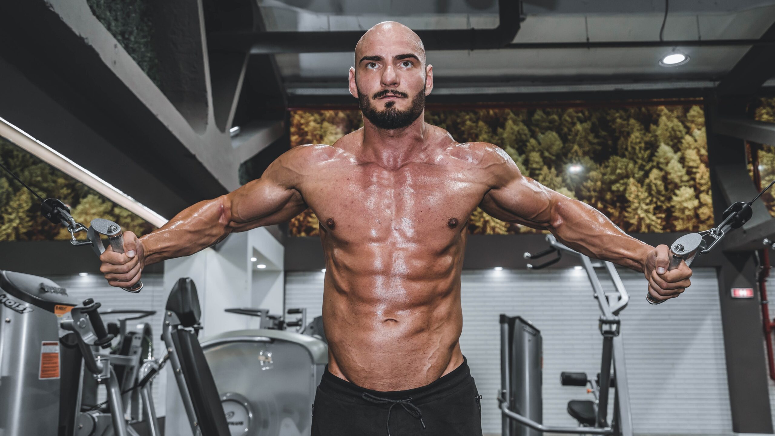 Cordyceps athletic performance