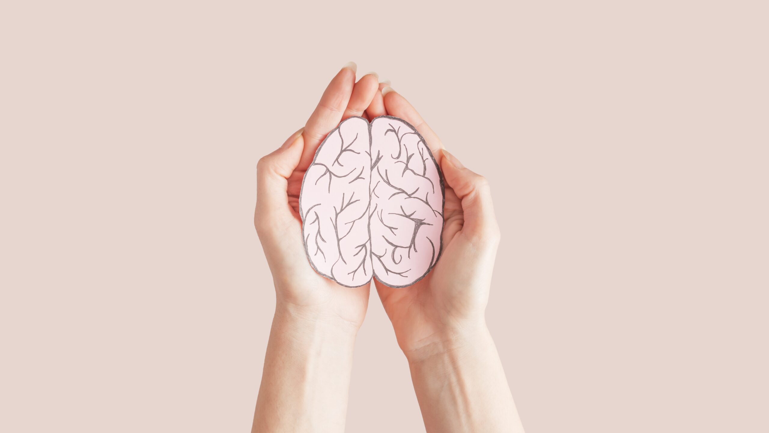 Mushroom for immune health